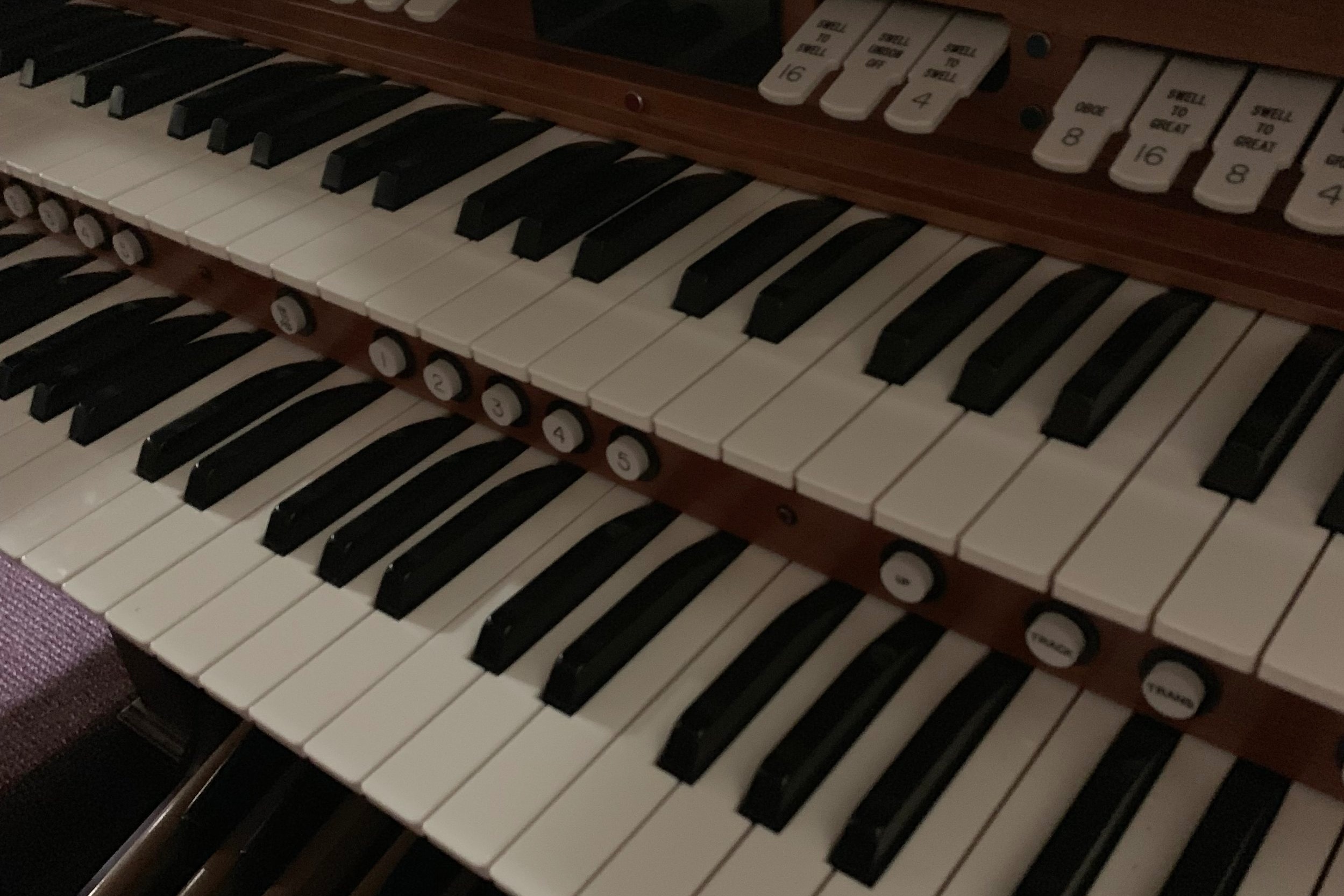 OrganKeys.jpg