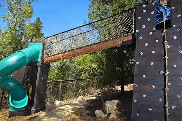 Focus on Play Feature: Log Bridge