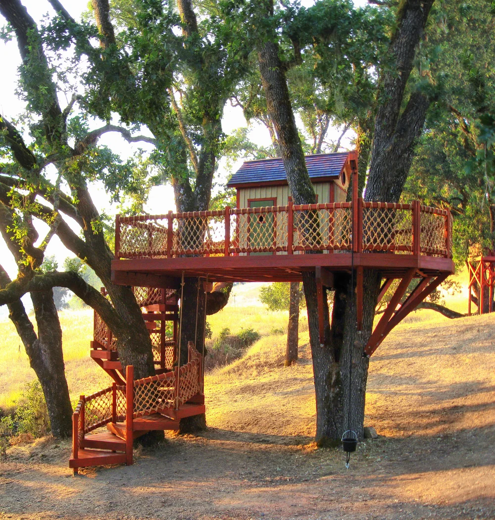 Coyote Valley Treehouse Barbara Butler Artist-Builder