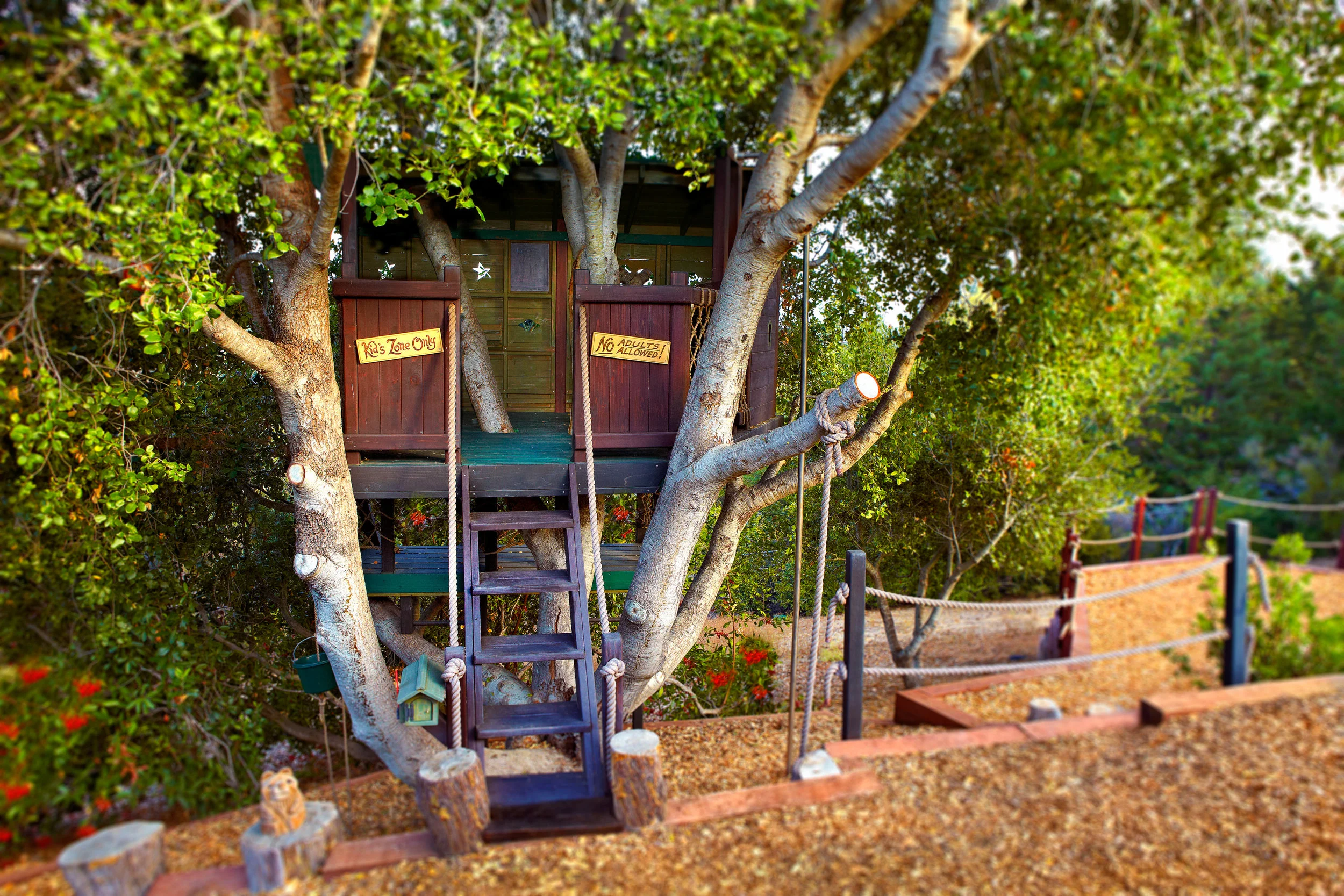 Leafy Nook Treehouse