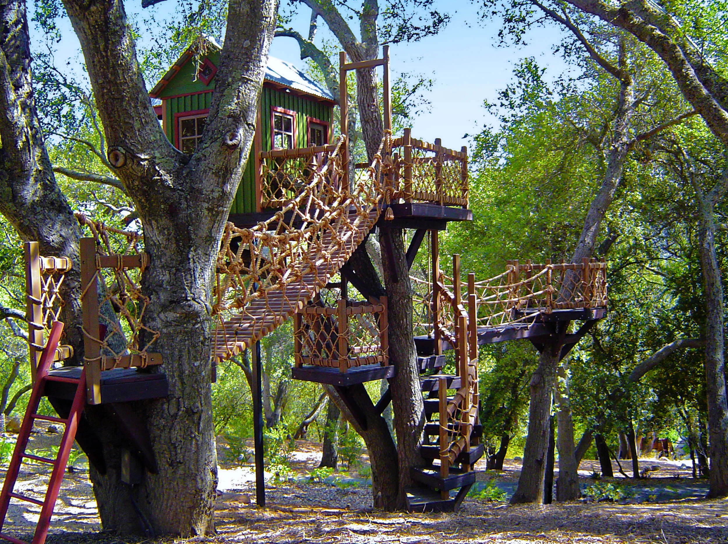 Tree Top Inn