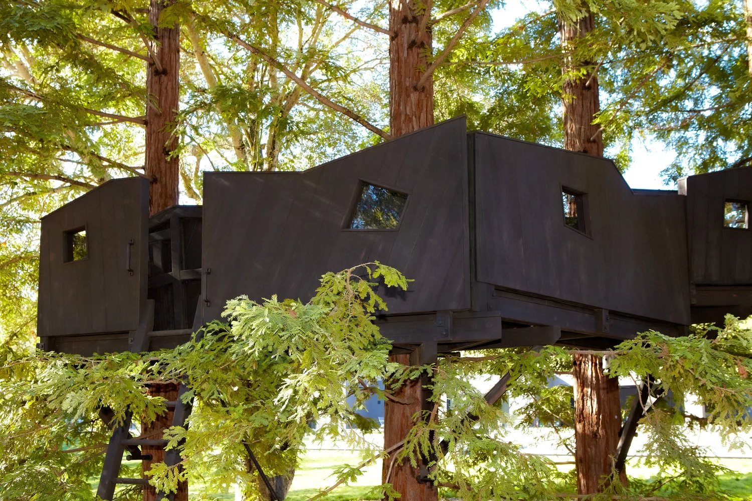 Treehouses — Barbara Butler ArtistBuilder Inc. Custom Treehouses