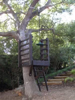1wedge-zip-line-perch-150x200.jpg