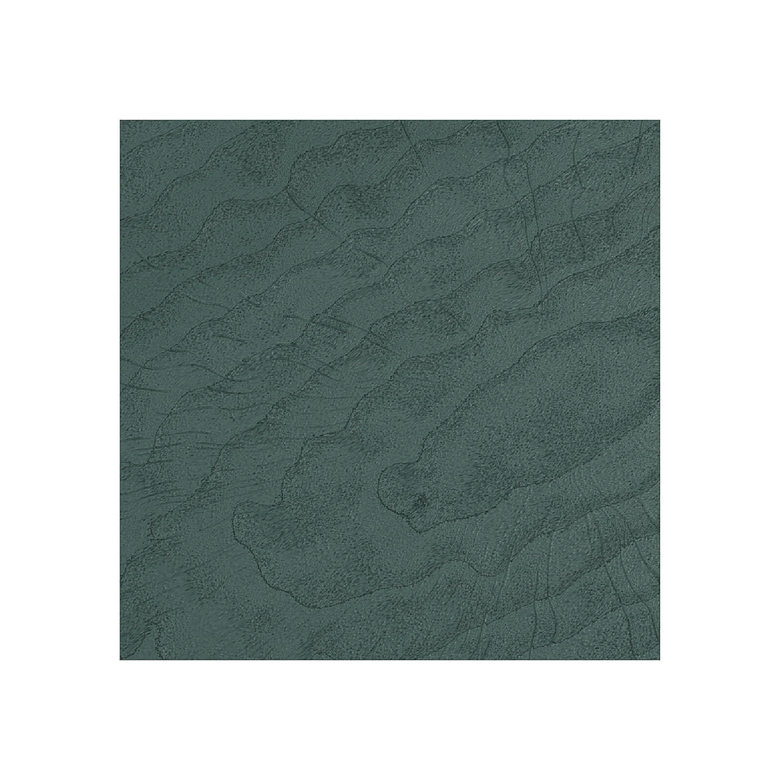 8. Deep Forest