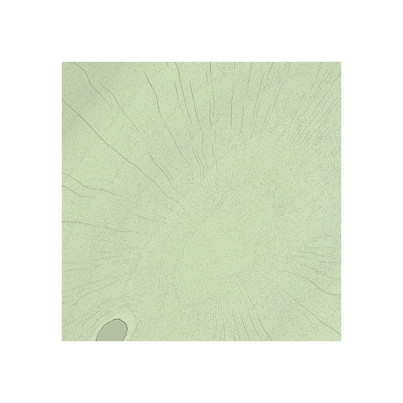 15. Sage