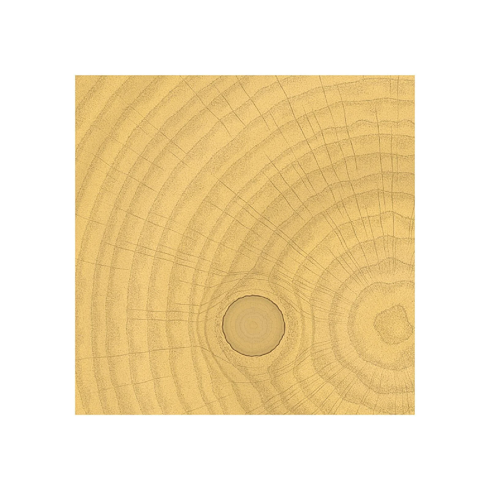 58. Champagne