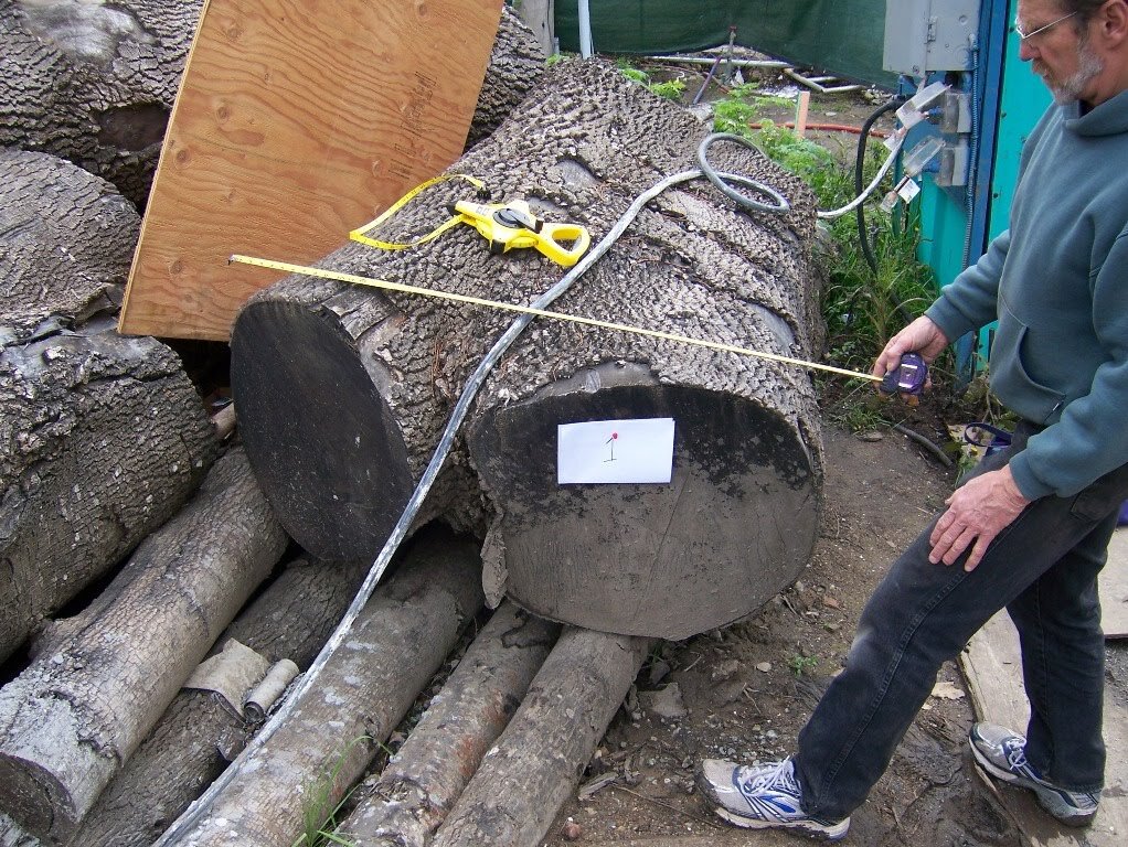fallen tree limbs to become a treehouse and play structure