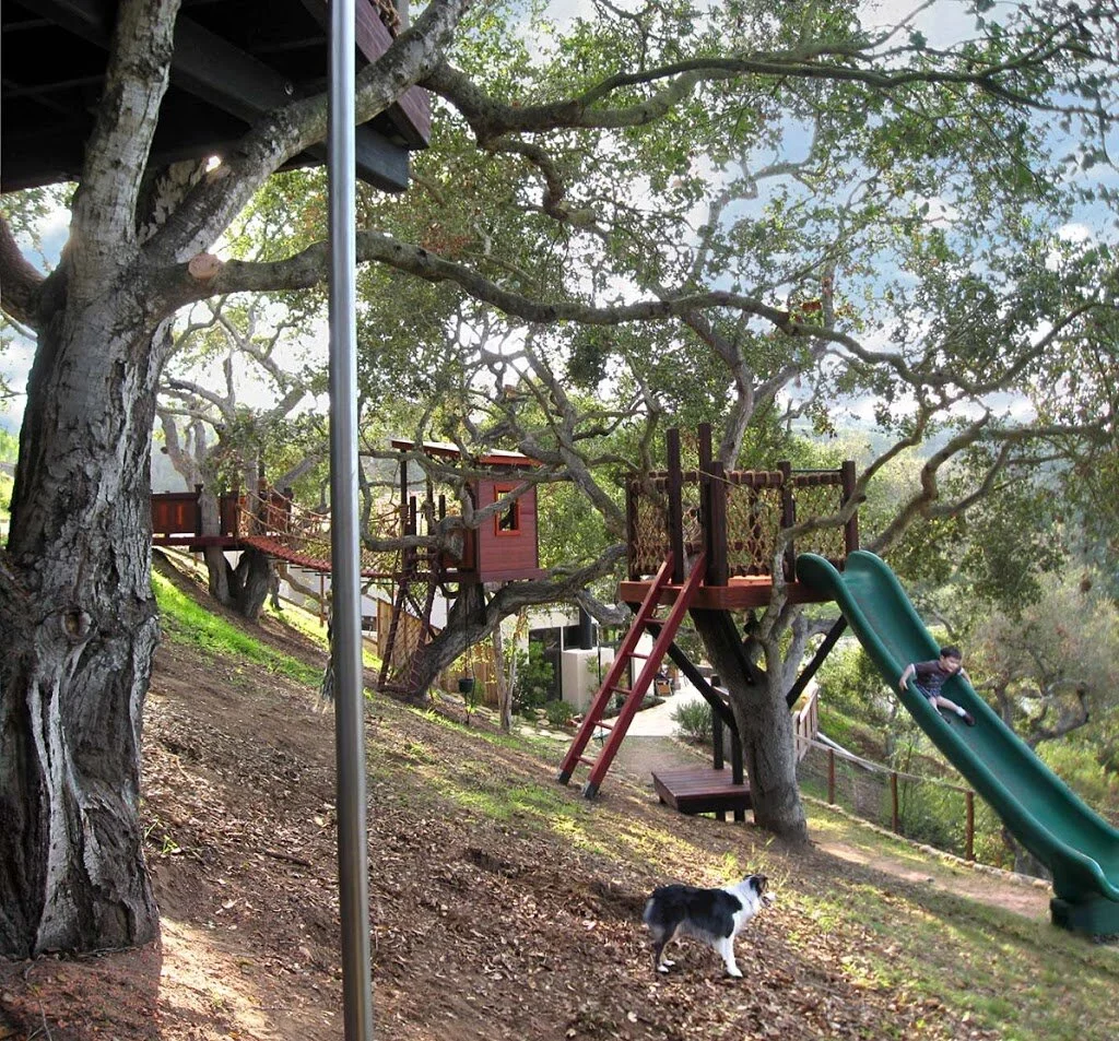 Hillside Tree Forts: 4 tree forts plus a Zip Line Ride!