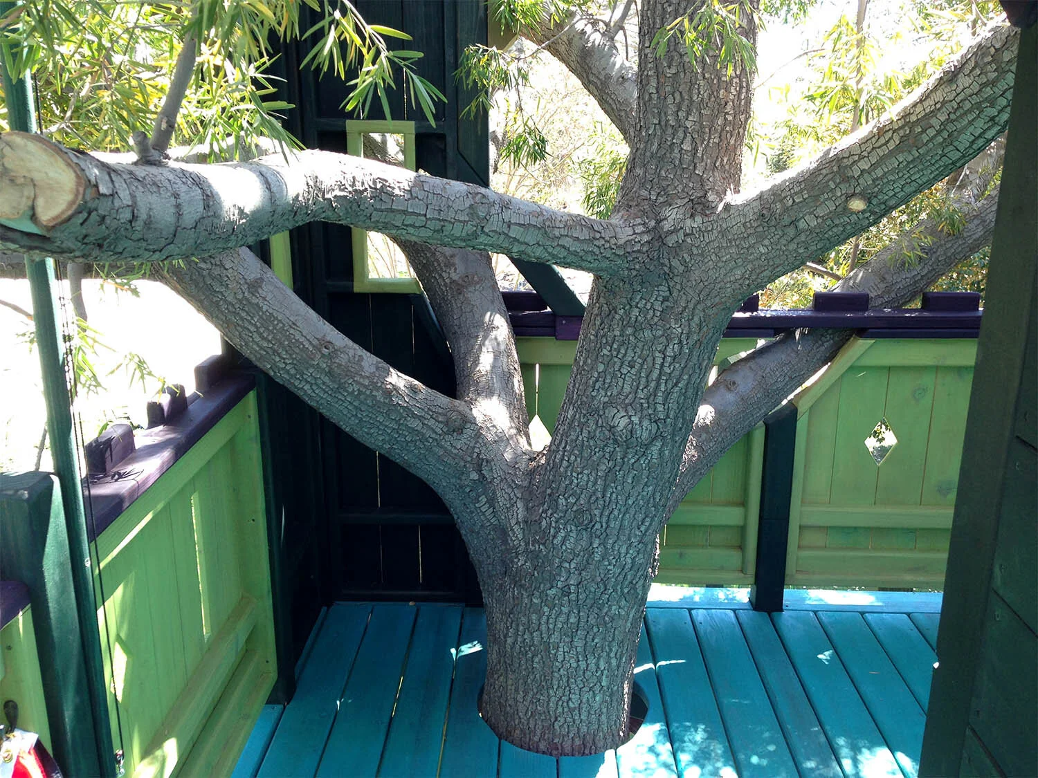 612-09 LA Fortress-tree thru deck.jpg