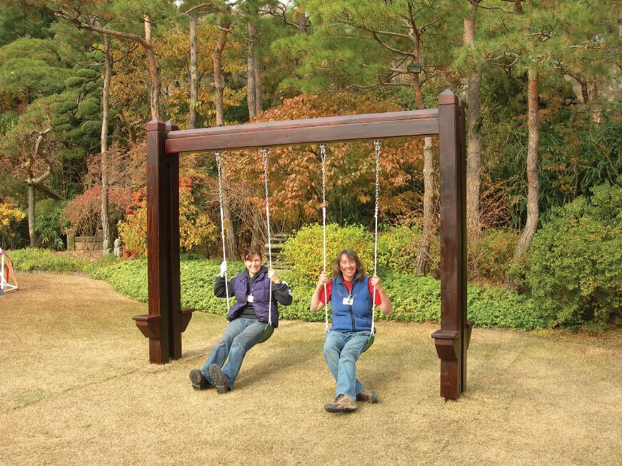 46 2 Swing Set.jpg