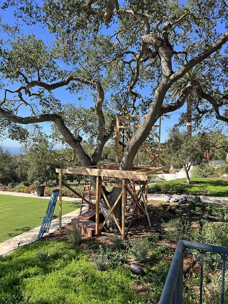From Tree to Tree . . . How We Relocated a Treehouse