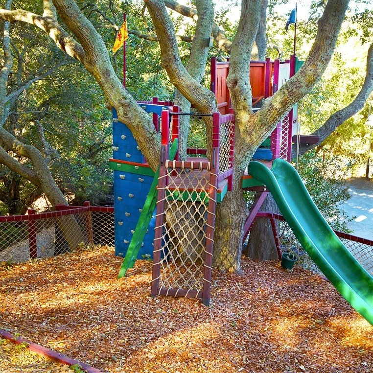 Are you ready for a retreat in the trees?

We design, build and install custom play forts and treehouses, just like this one!

A colorful treehouse can liven up a yard and your life, while provided hours of imaginative play!

#treehouse #treehouselif