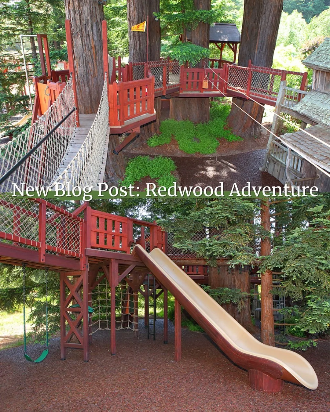 Head over to our blog (link in bio) and enjoy a tour of Redwood Adventure! An amazing treefort in the redwoods!

#treehouse #treefort #kidstreehouse #kidstreefort #redwoodtreehouse #redwoodfort #backyardtreehouse #woodlandplay #woodlandfort #kidsfort