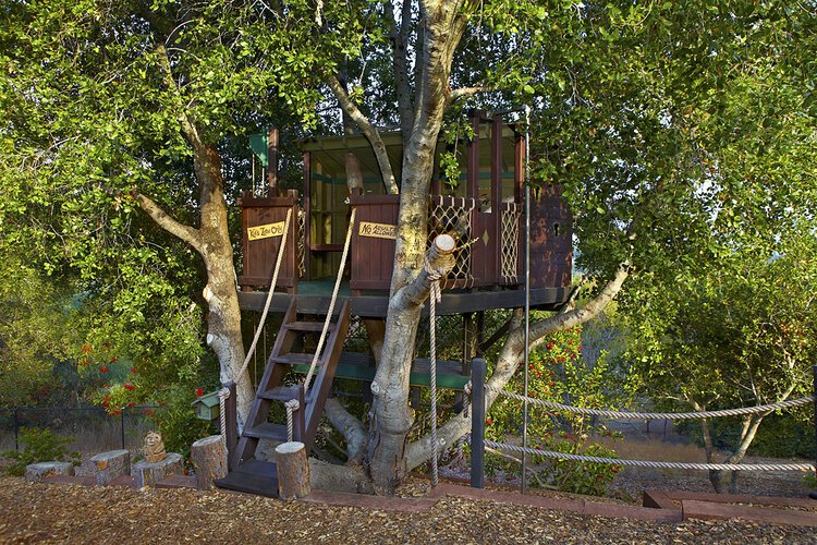 Treehouses — Barbara Butler Artist-Builder Inc. - Custom