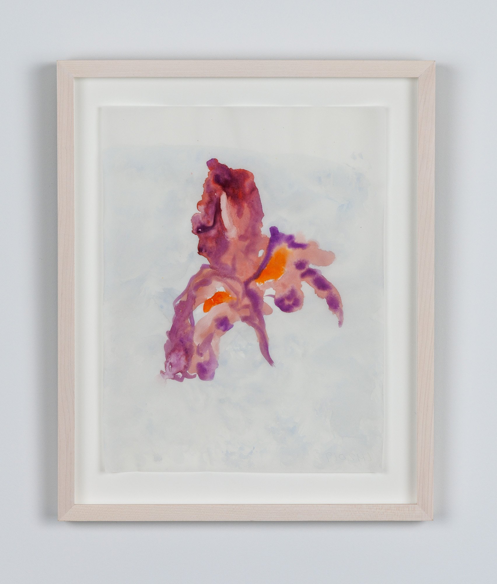  Laura Hunt,  Unreal Iris , 2019, watercolor on vellum, framed, 13.75 x 11.25 inches. 
