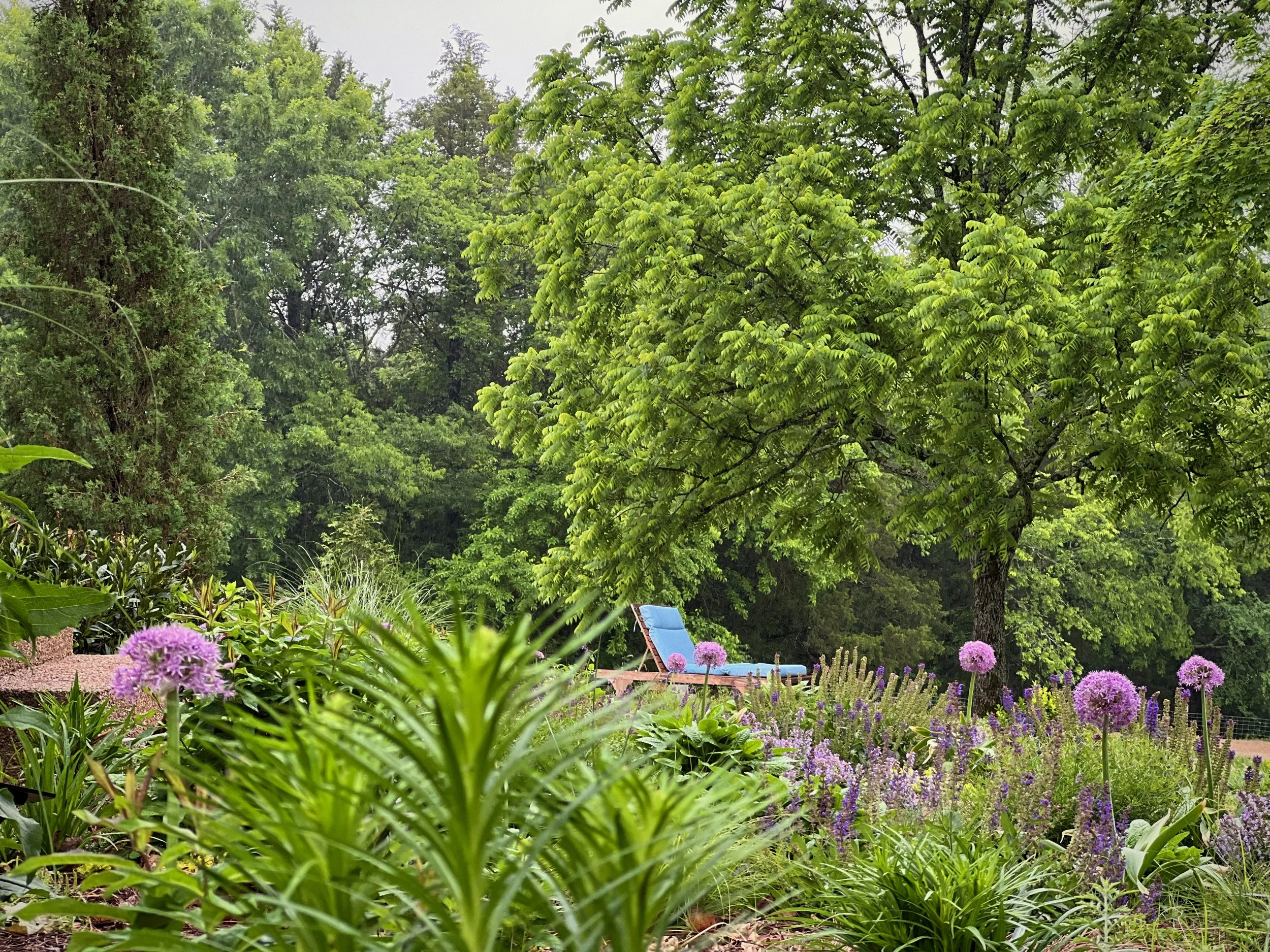 [Blue lounge chair surrounded by allium, salvia, and spring planting in the farm garden, Smith County Tennessee — Garden Designer, The Grass Girl.]