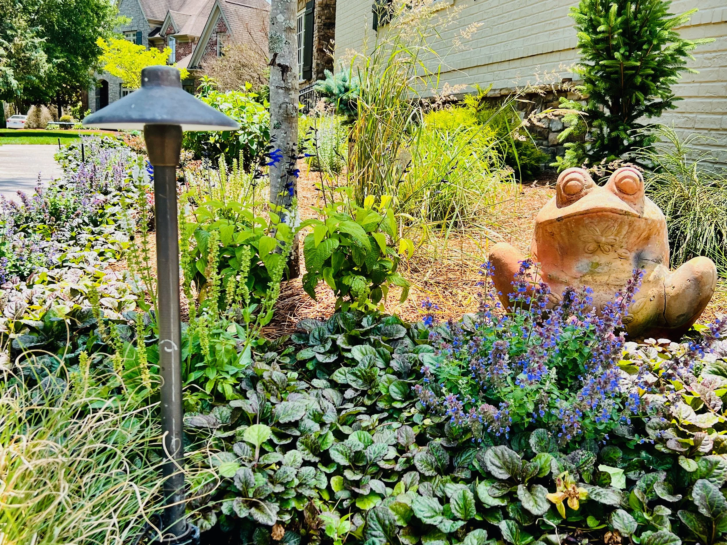 A front yard perennial bed with a lamp and frog statue in the garden