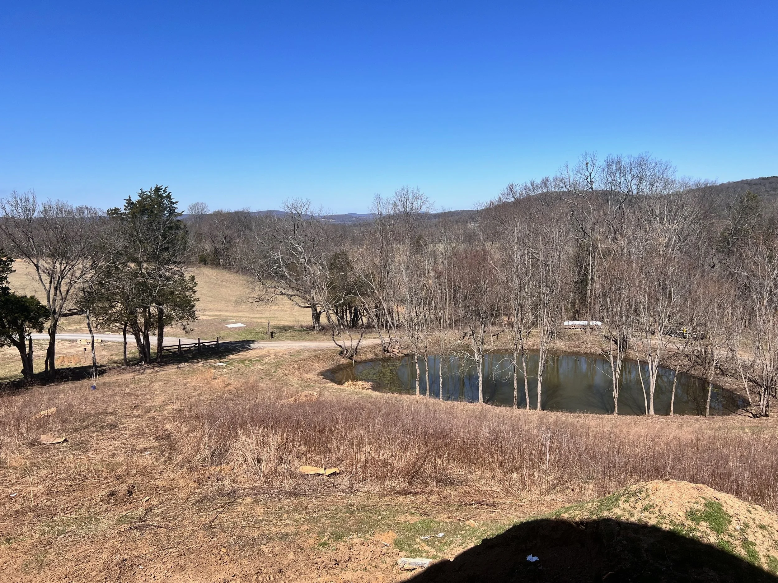 Rolling hills and winter pond on a Middle Tennessee farm — whole-property landscape design for farms and estates by Clare Horne, The Grass Girl.