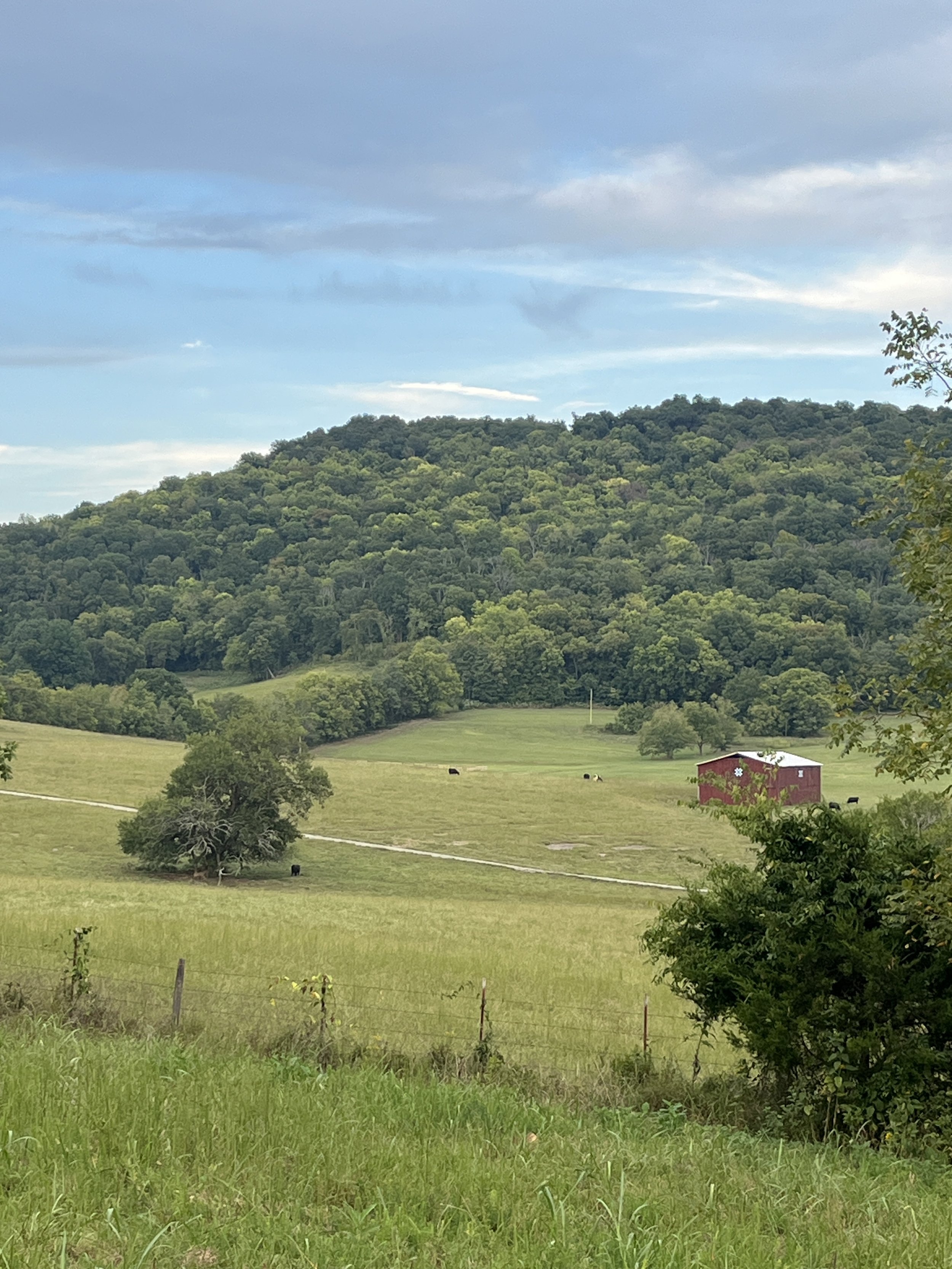 Rural farm with rolling hills and red barn