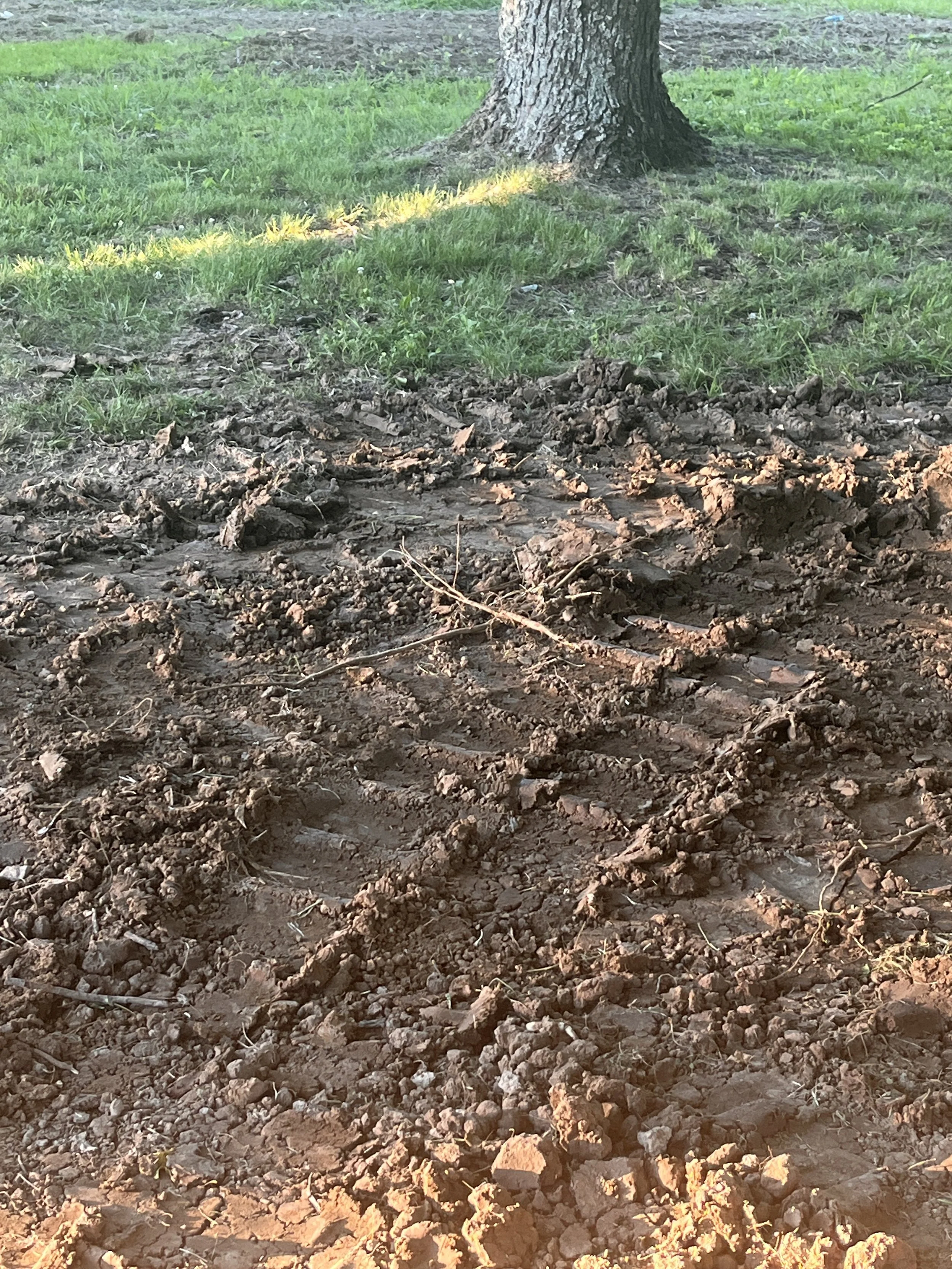 Exposed middle TN clay soil