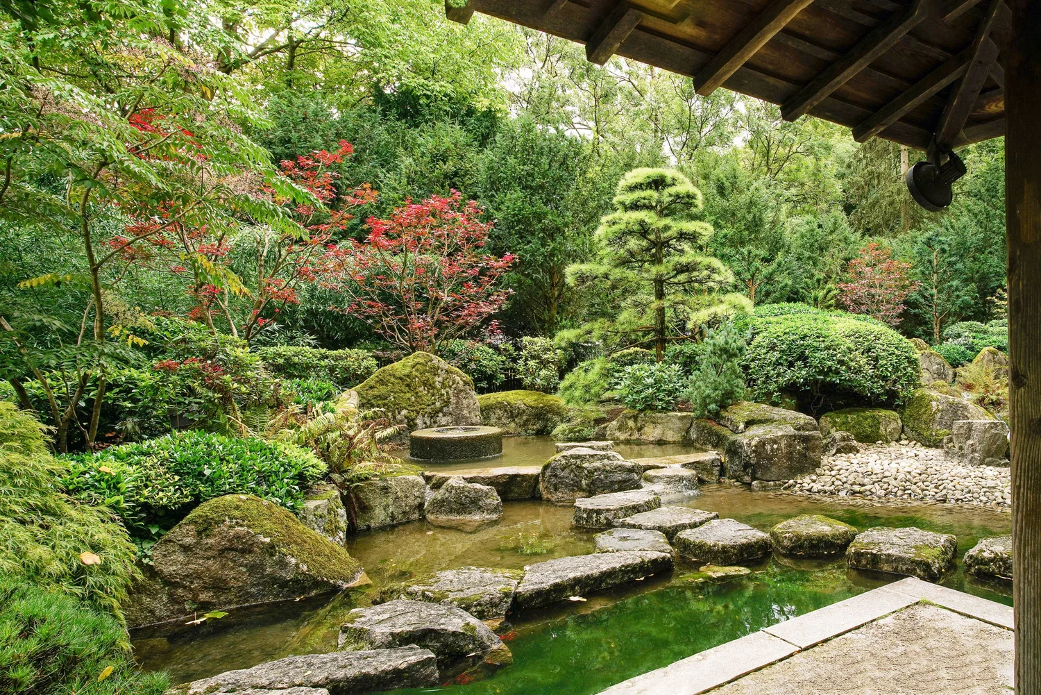 How Do I Design a Japanese Garden: Expert Tips