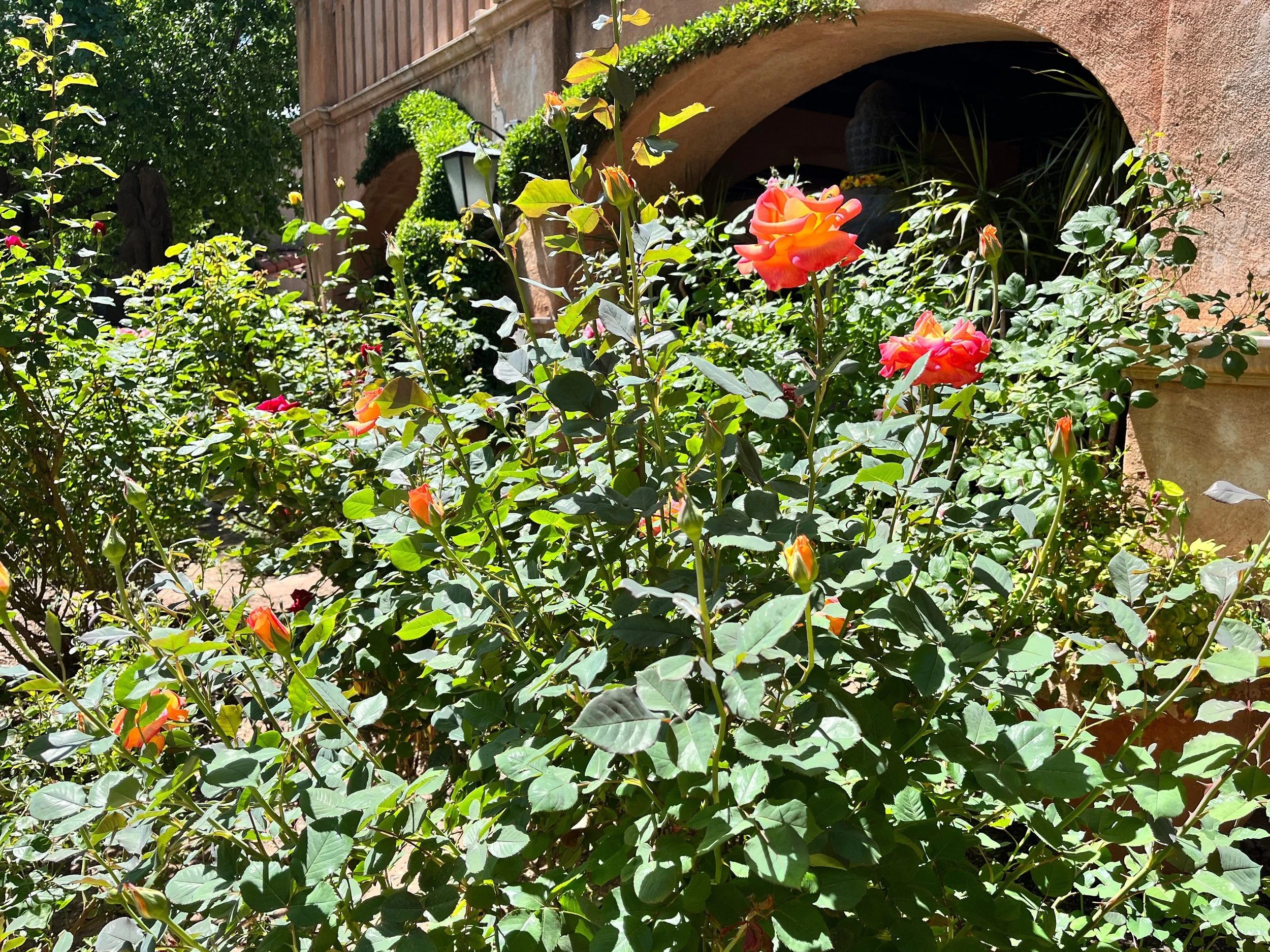 Landscape Designer vs. Landscaper in Nashville: What’s the Difference and Which Do You Actually Need?