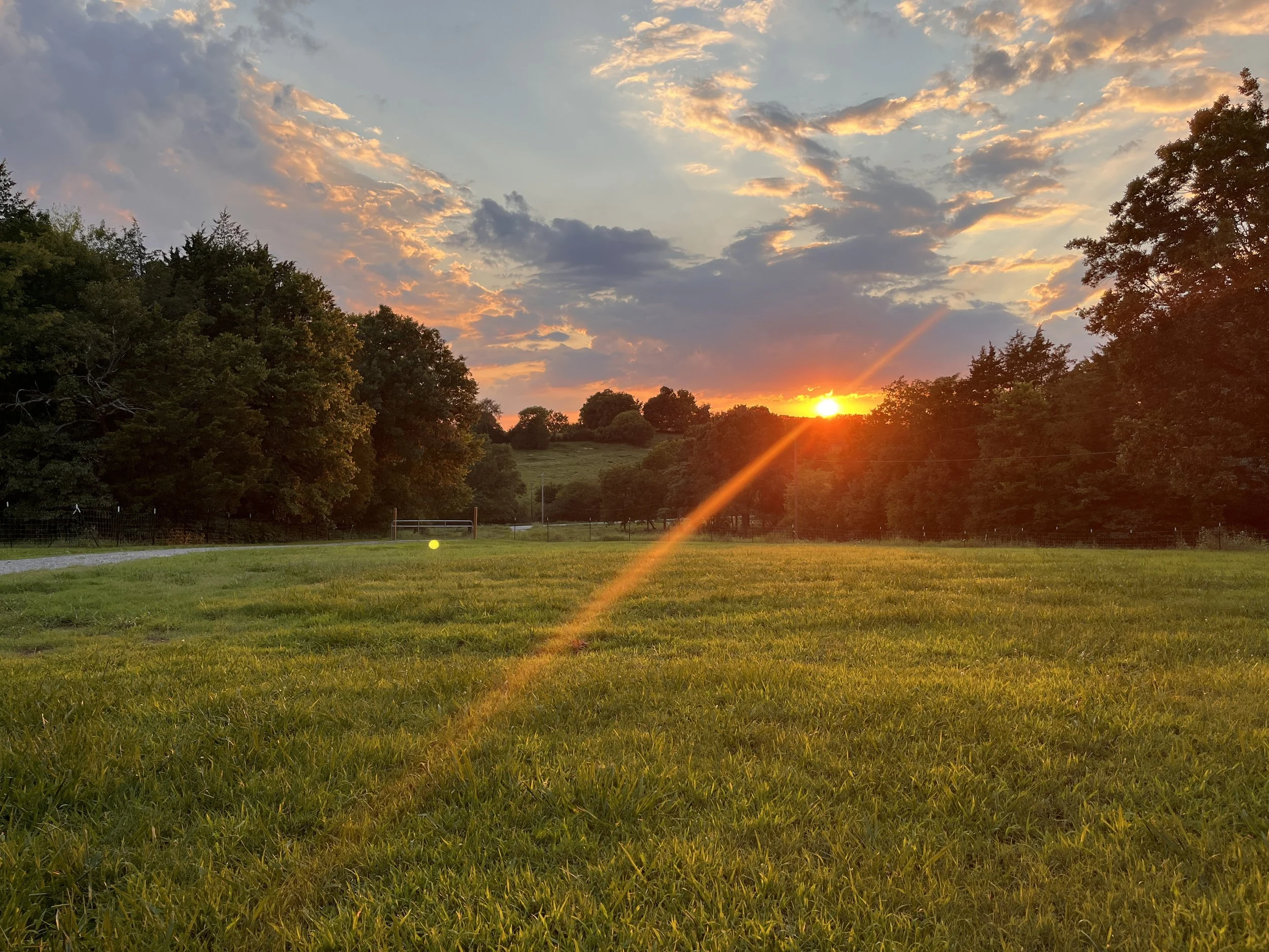 What Your Land Knows That You Don't