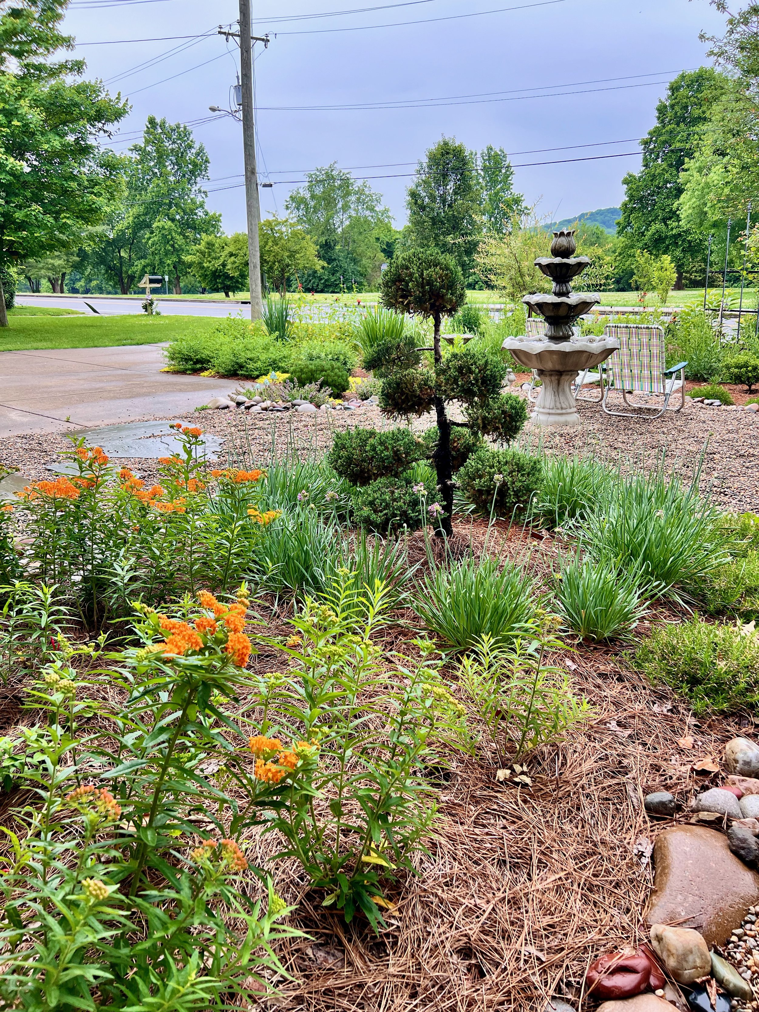 The Tennessee Pollinator Plant List: 40+ Native Species, Organized by Bloom Season, for Zone 7a Clay