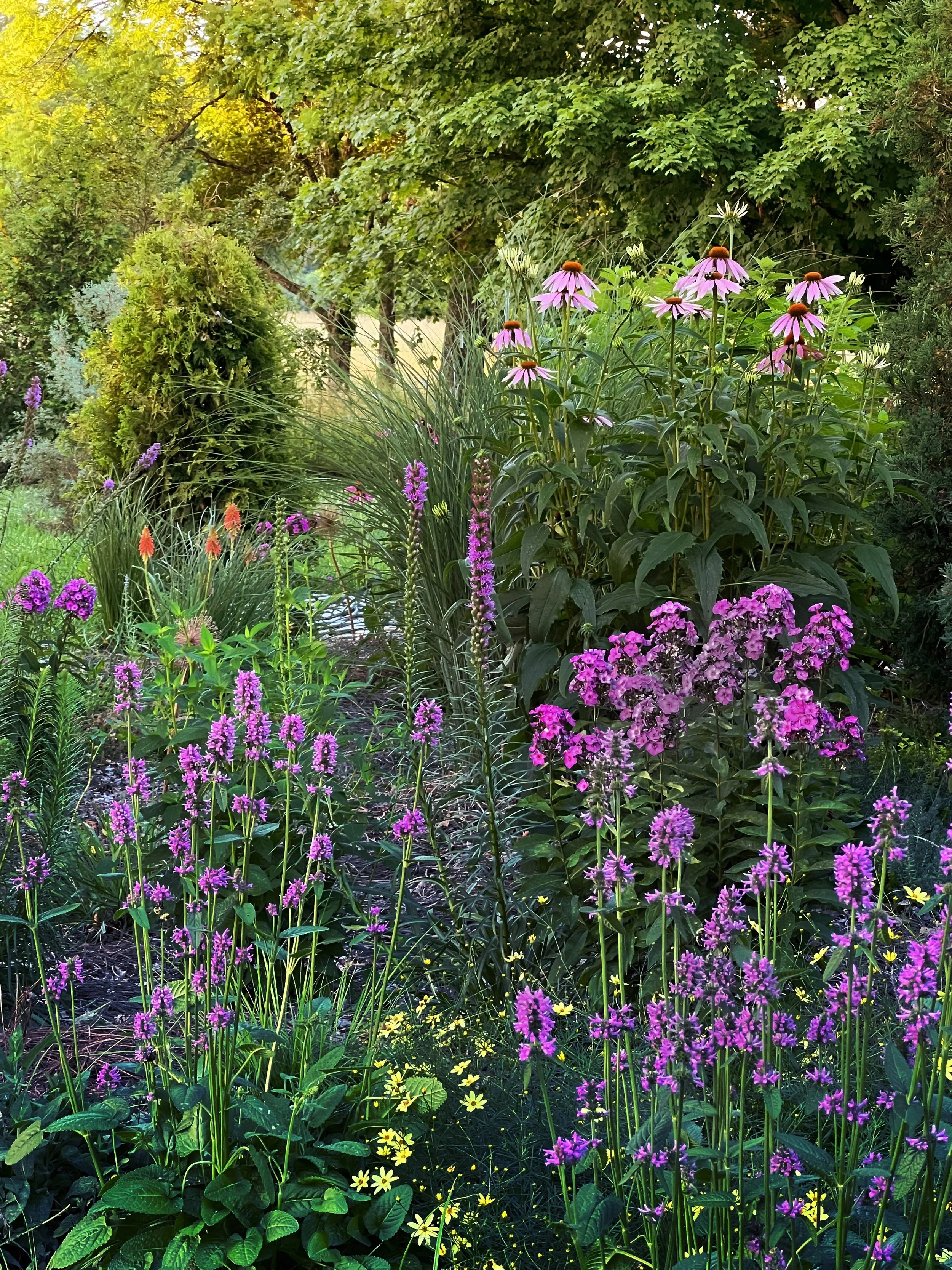Every Plant Is a Promise: Designing Low-Maintenance Landscapes for Real Life in Middle Tennessee