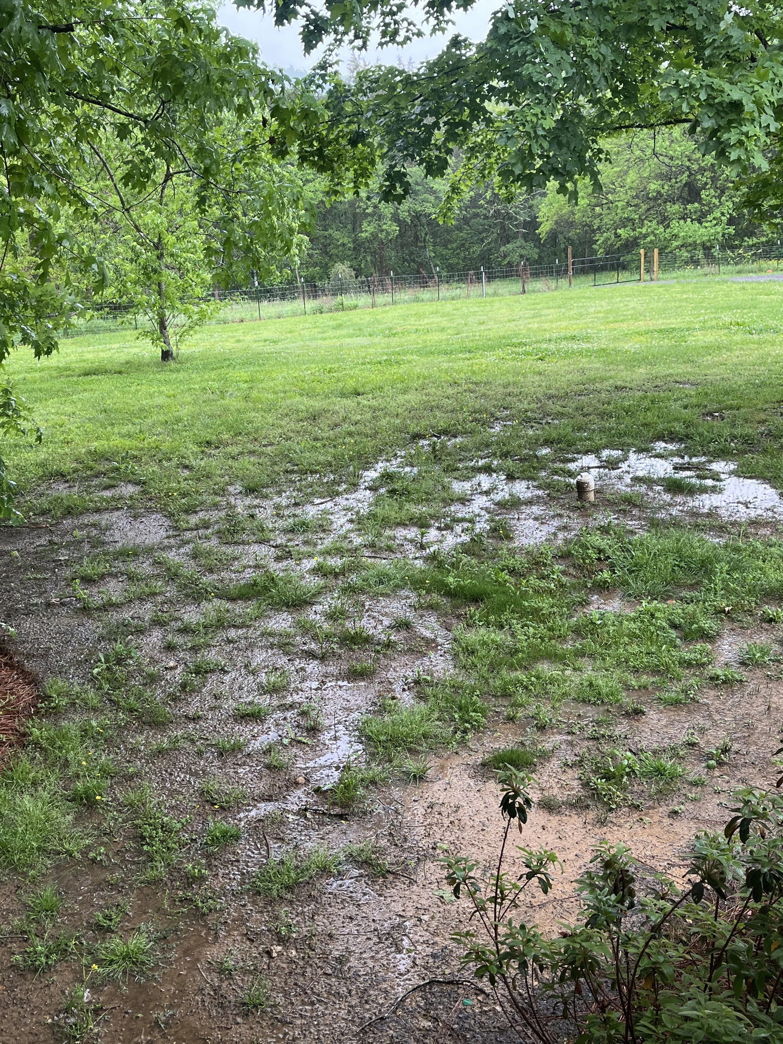 Water pooling on land on top of TN clay after a heavy spring rain