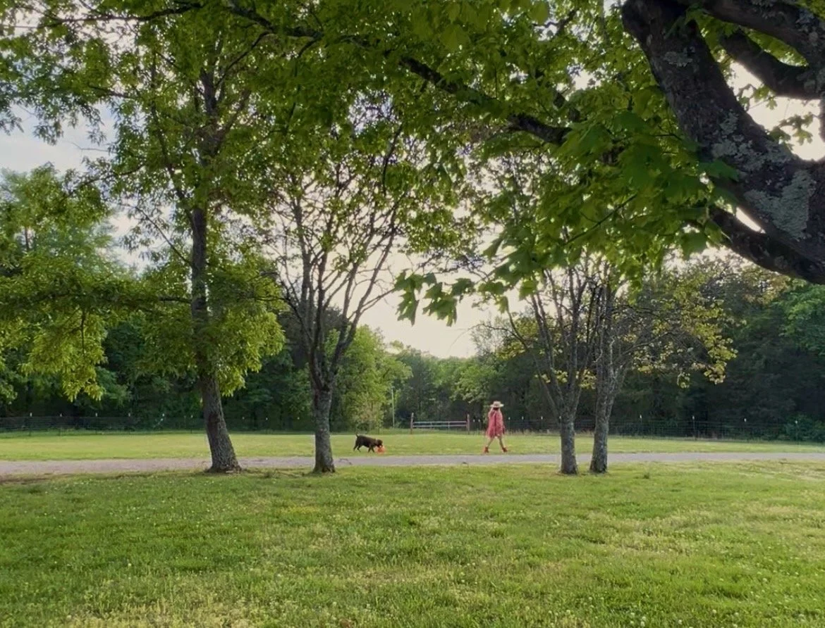 Clare Horne observing a property at golden hour during Land Portraiture, her method of studying land before designing.