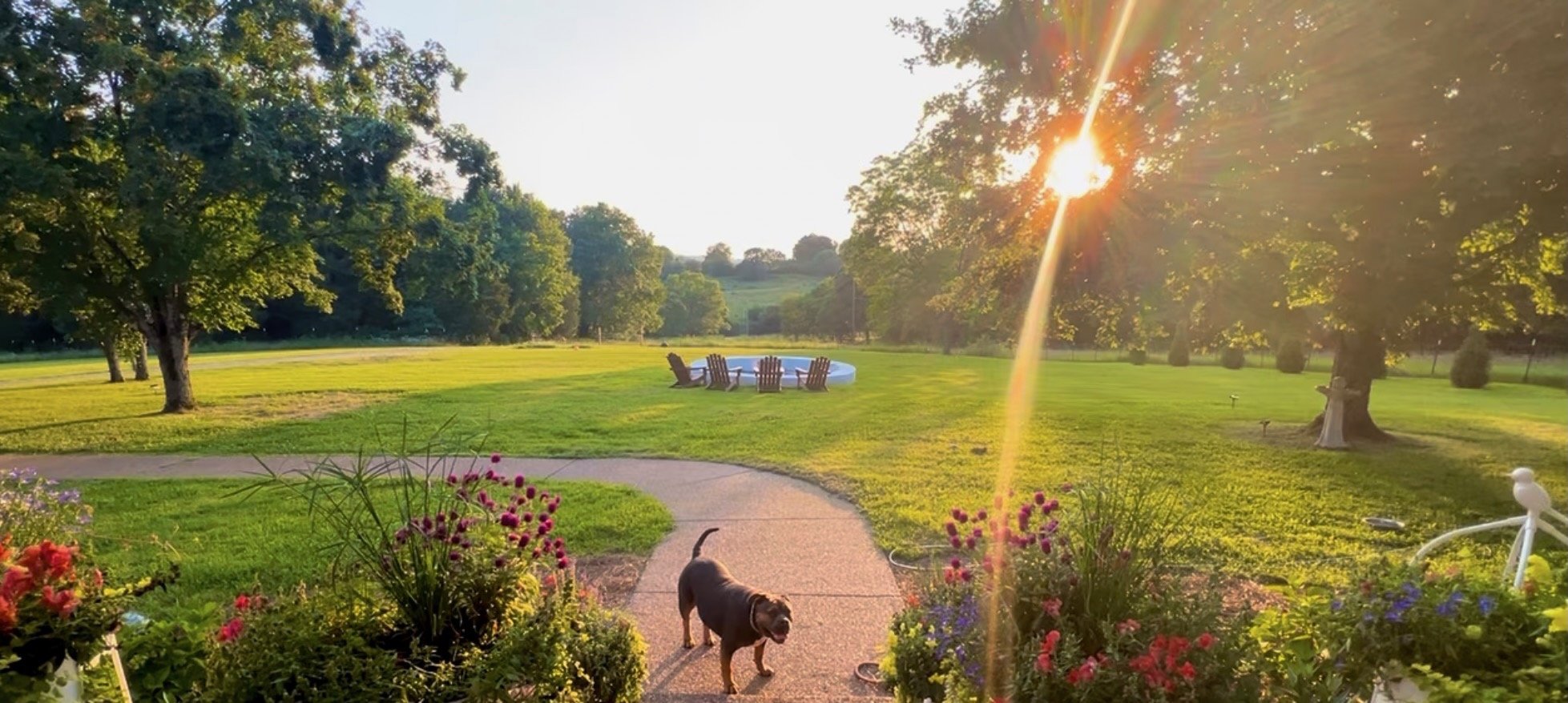 Front porch view of The Grass Girl's Tennessee farm at golden hour with pollinator garden beds, fire pit, and dog walking up stone path