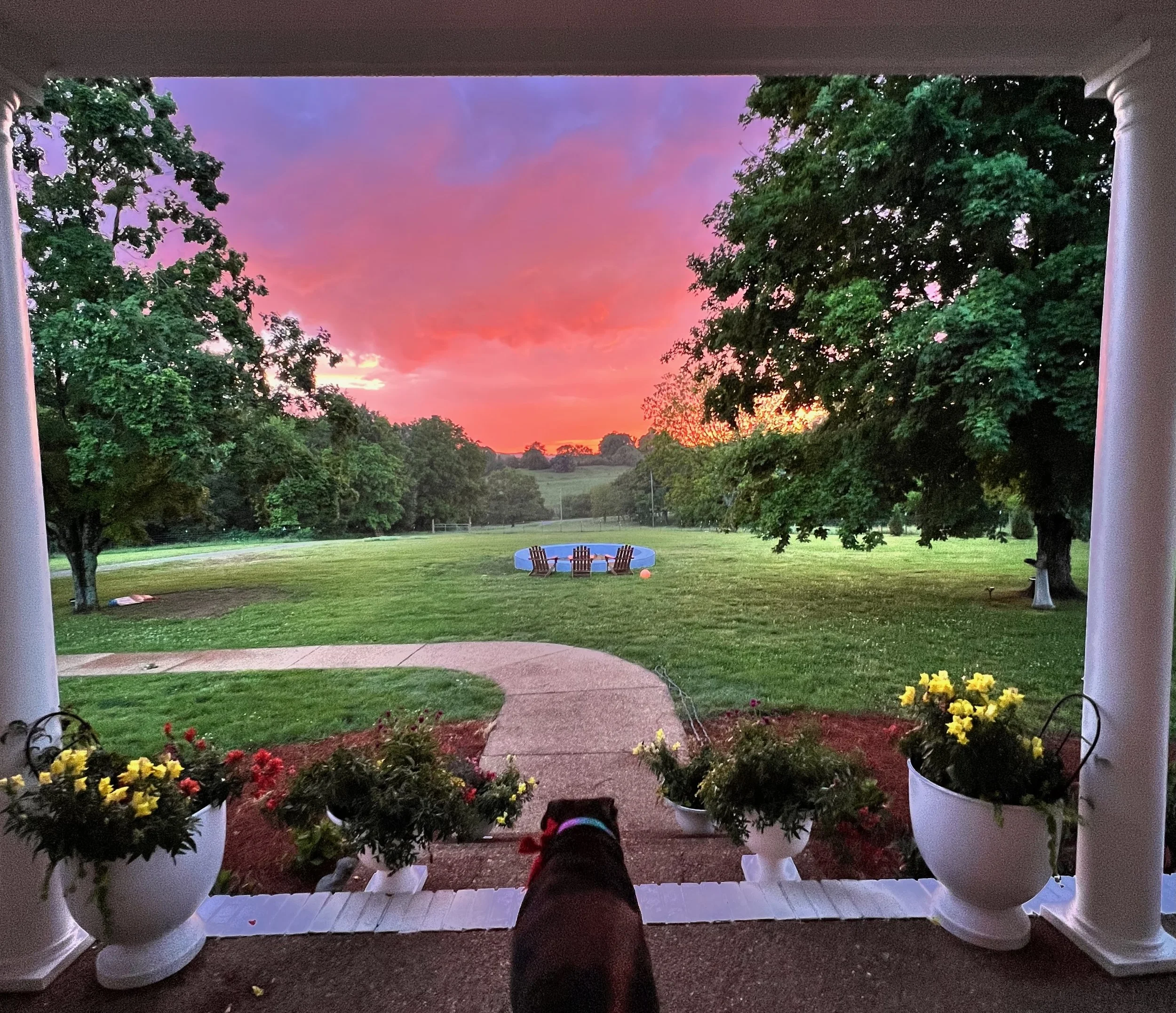 Dog watching pink sunset from covered front porch with columns, fire pit and pollinator garden in view, Inhabitation Design by The Grass Girl Nashville Tennessee