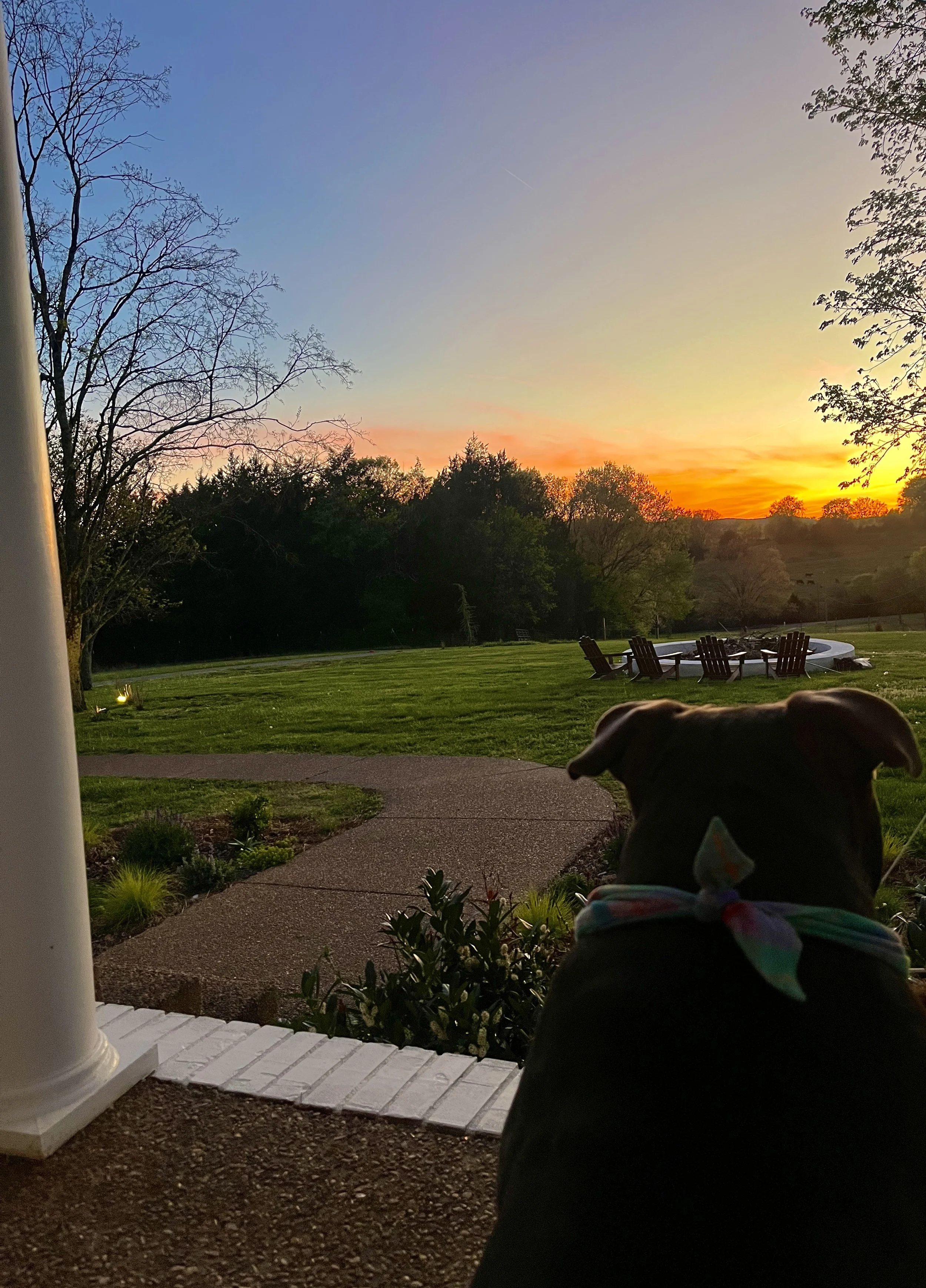 Dog on a porch looking out toward a Tennessee garden and landscape
