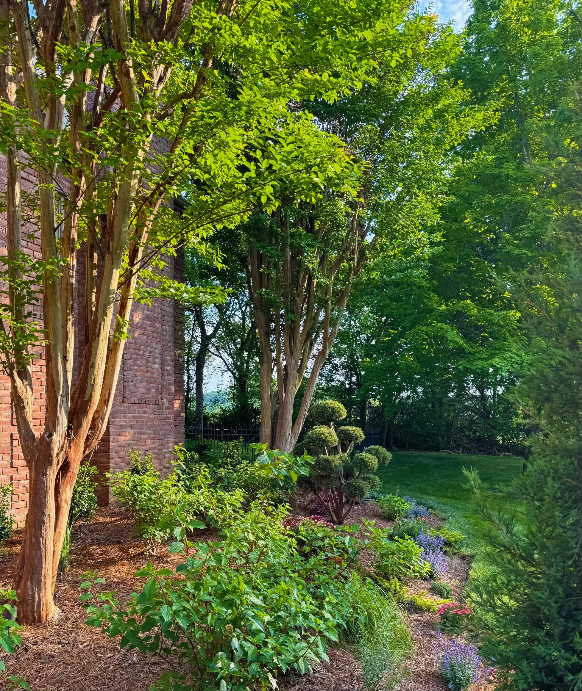 Nashville residential home entry garden by garden, designer, Clare Horne, of The Grass Girl.