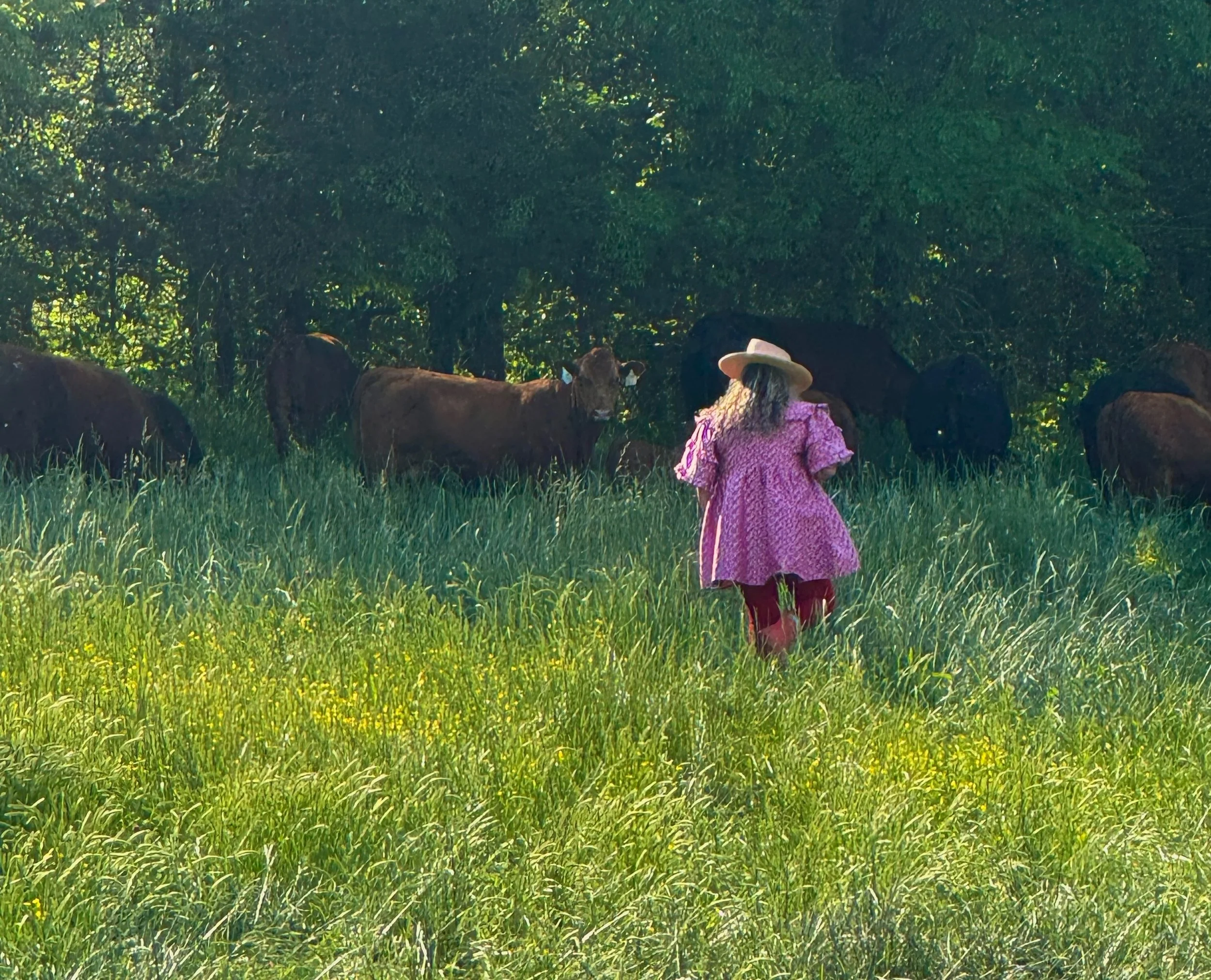 Garden designer Clare Horne observing land on her working farm in Smith County, Tennessee — the practice of Land Portraiture before any design begins.
