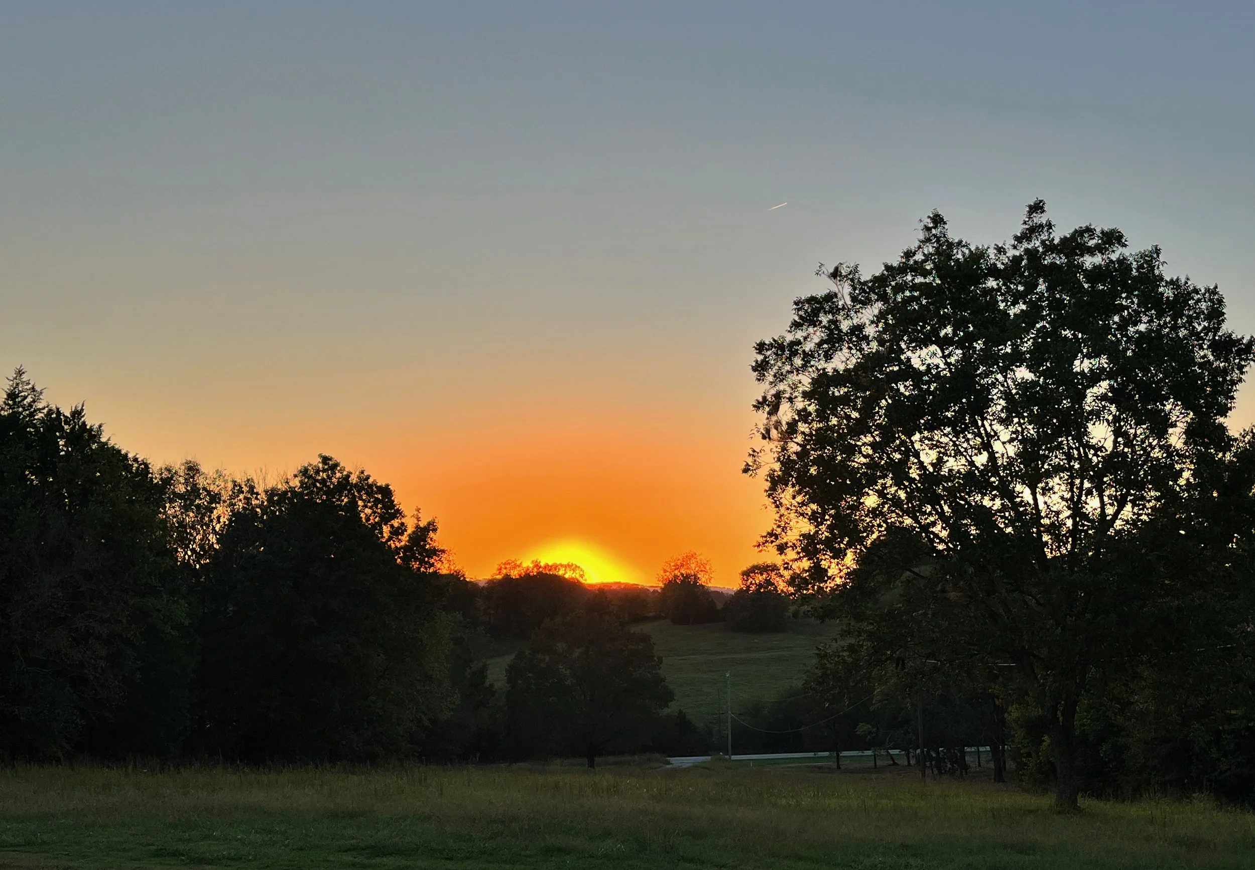Clare Horne's working farm in Smith County, Tennessee at dawn — large property landscape design by The Grass Girl, available across the United States.