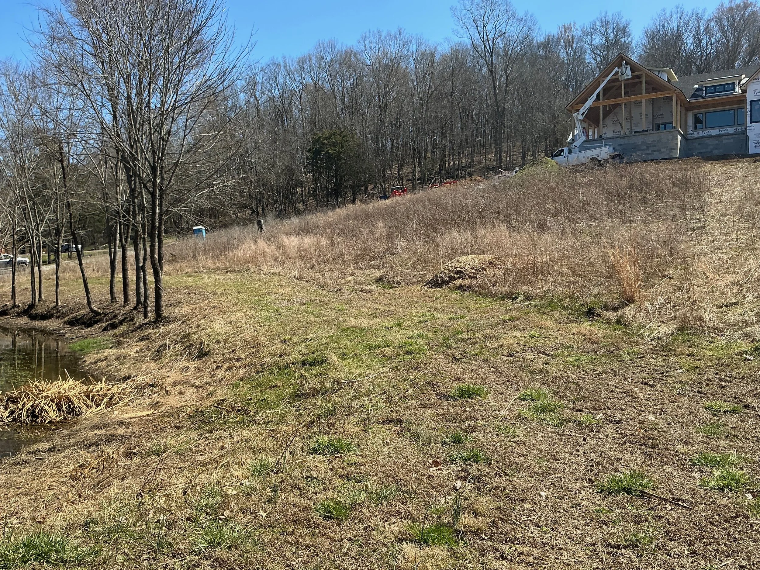 Open meadow on a Tennessee farm — large property landscape and acreage design by Clare Horne of The Grass Girl, serving farms and estates across the United States.
