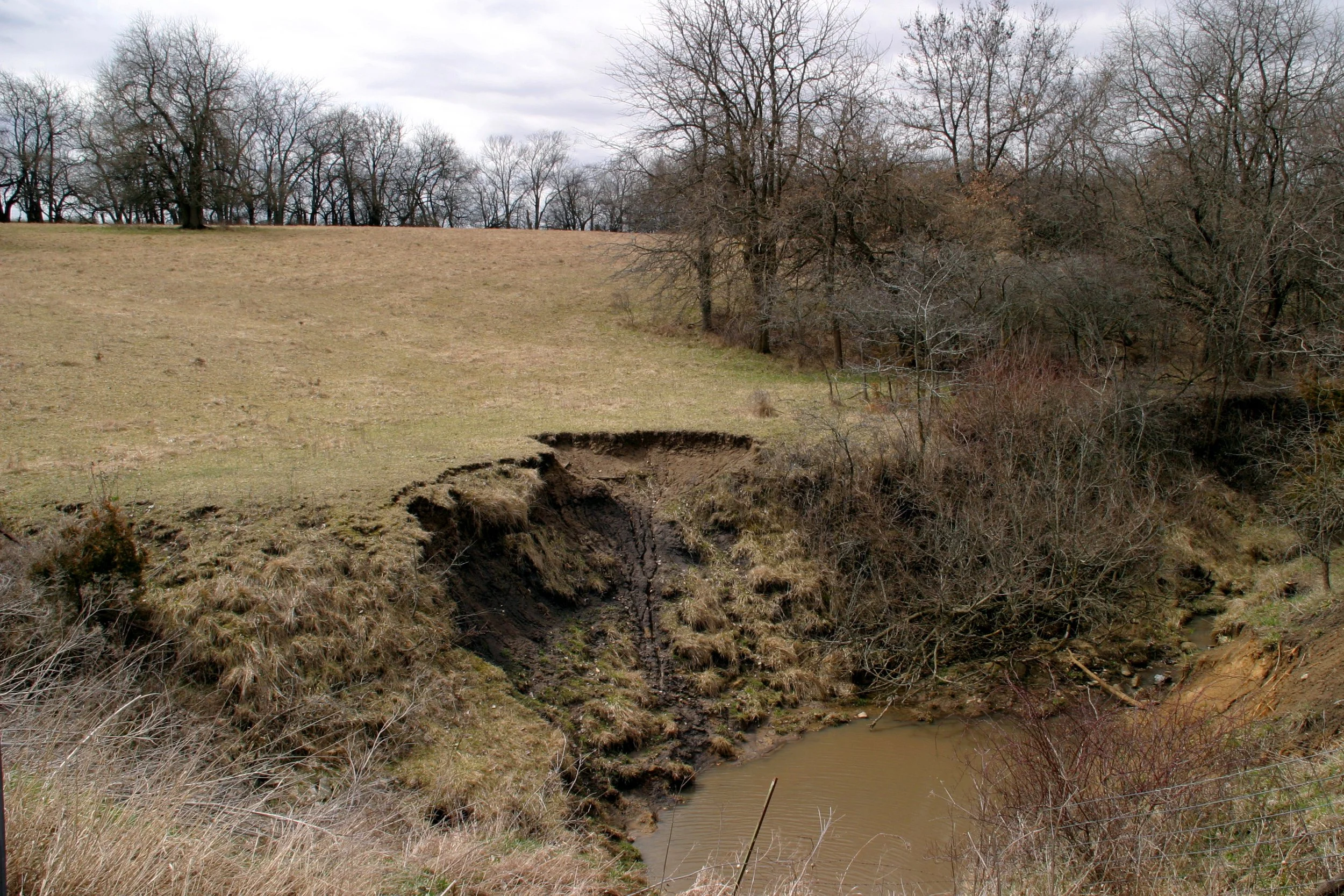 An over manicured creek bank eroding with lack of native TN grasses and perennials and brush to reinforce its edges.