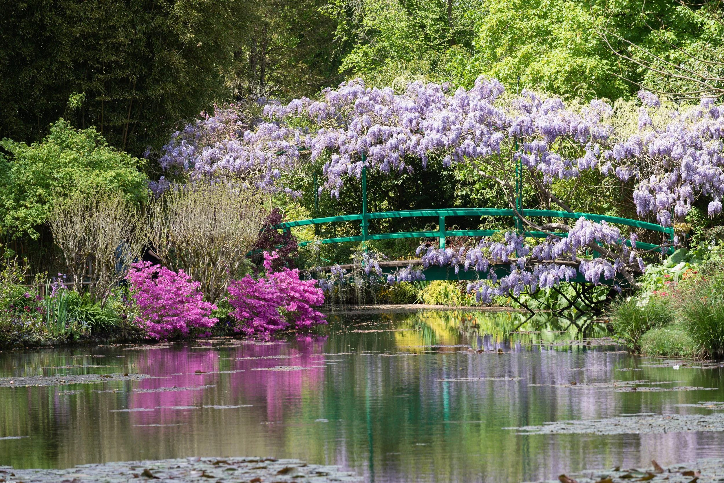 The green bridge at Giverny arching over the plant lined pond