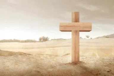Bulletin for the week of April 2