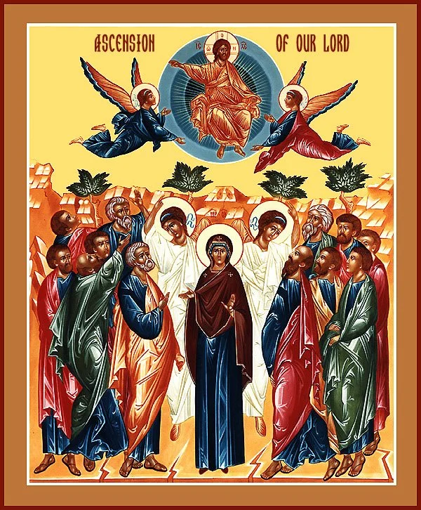 Bulletin for the week of May 17: