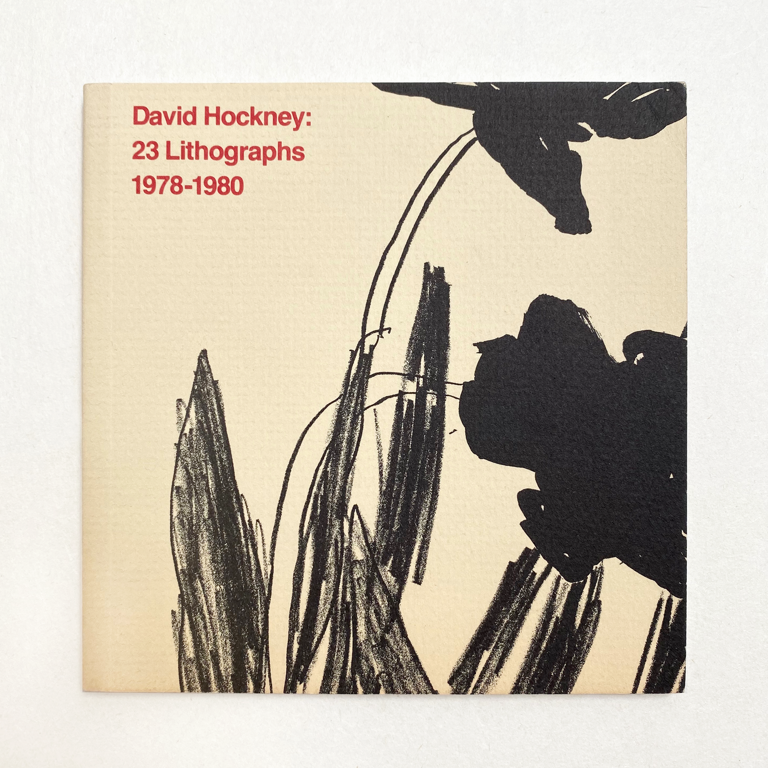 VS-AB-07_David_Hockney_1.png