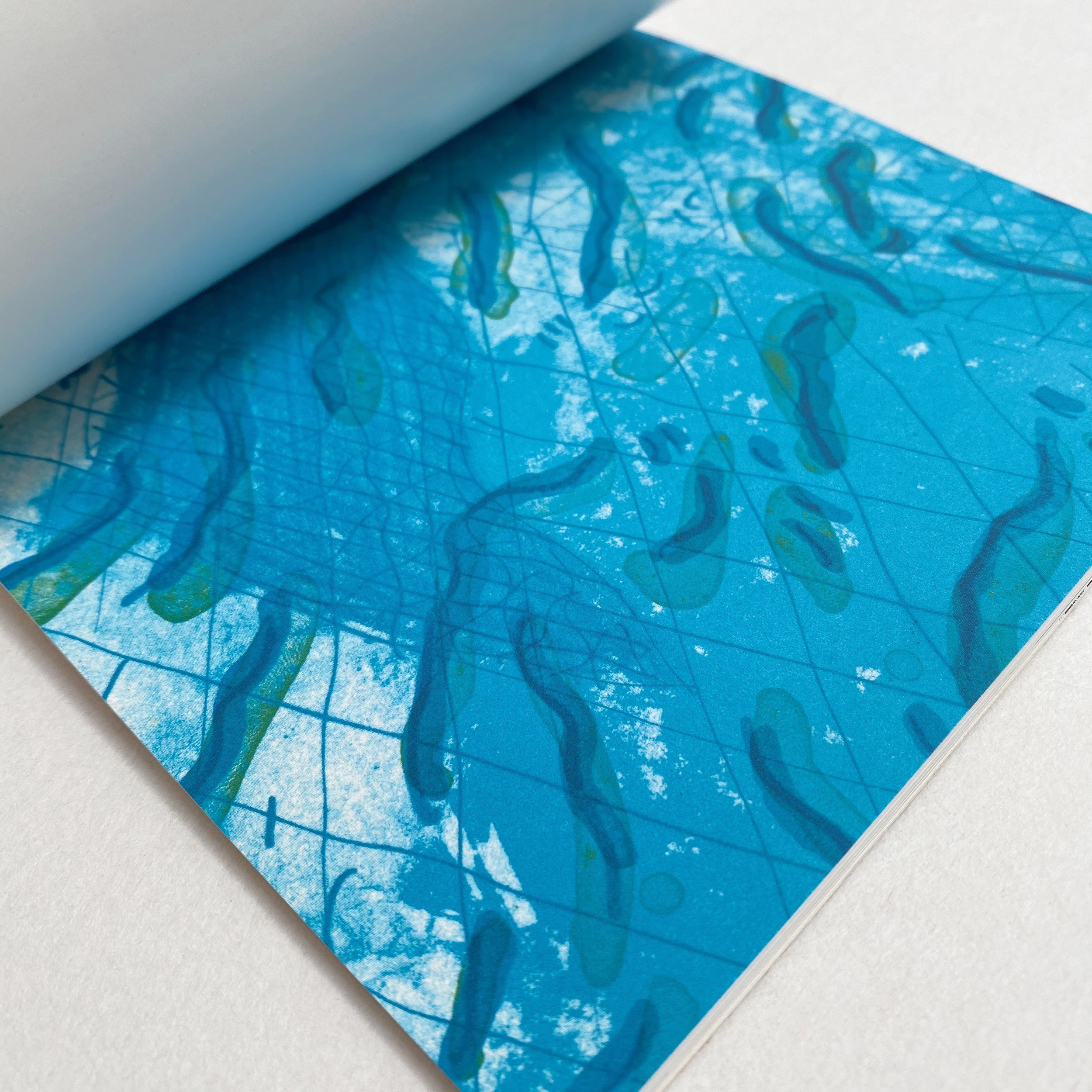 VS-AB-07_David_Hockney_2.png