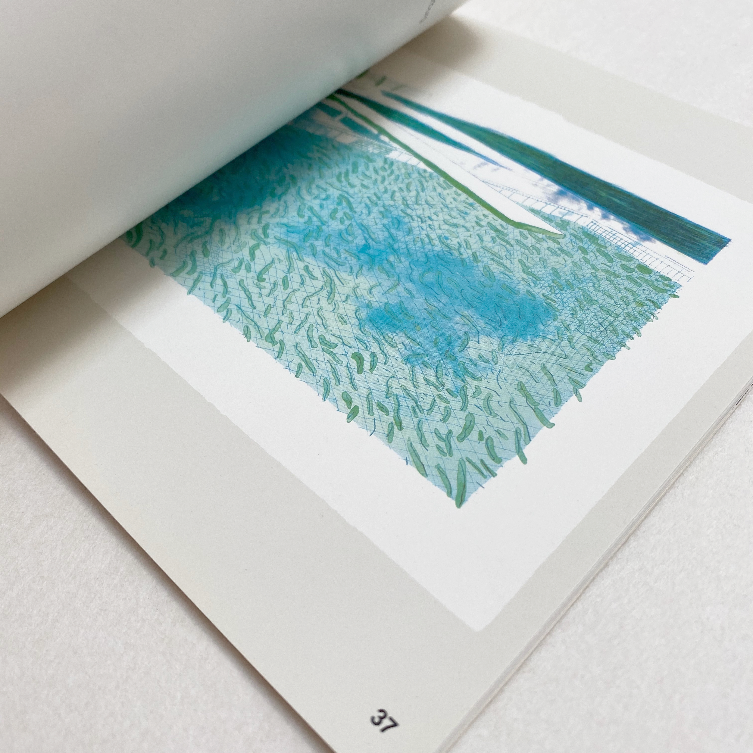 VS-AB-07_David_Hockney_4.png