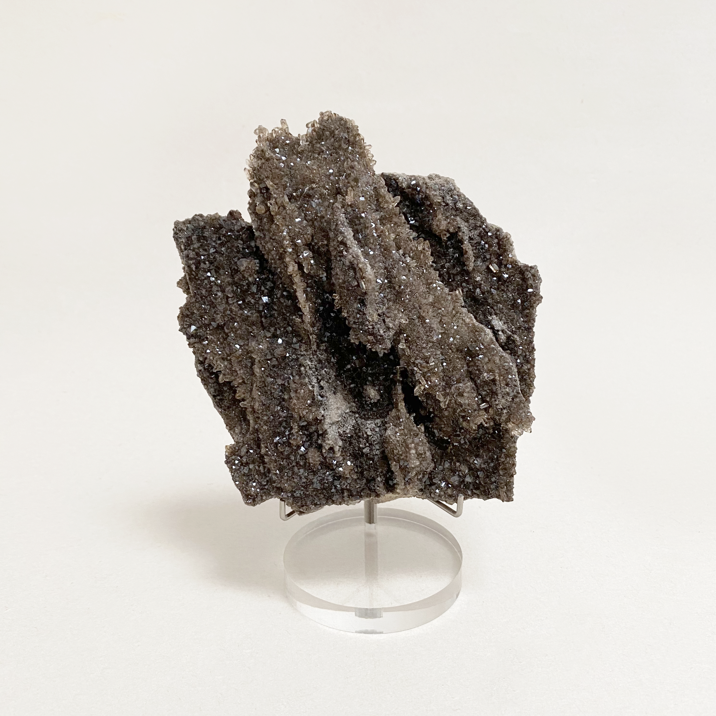 128-402_Petrified_Wood_1b.png