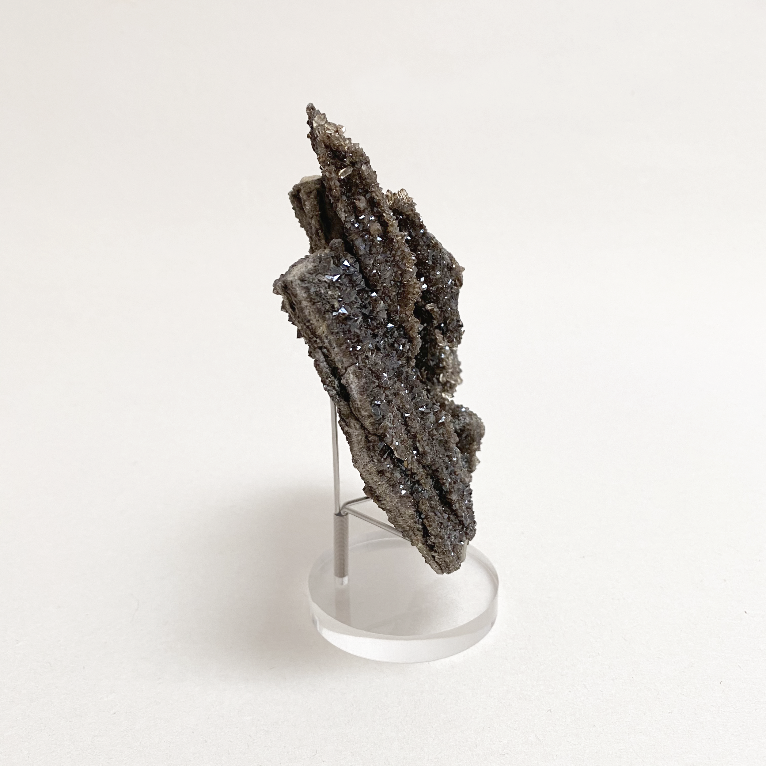 128-402_Petrified_Wood_3.png