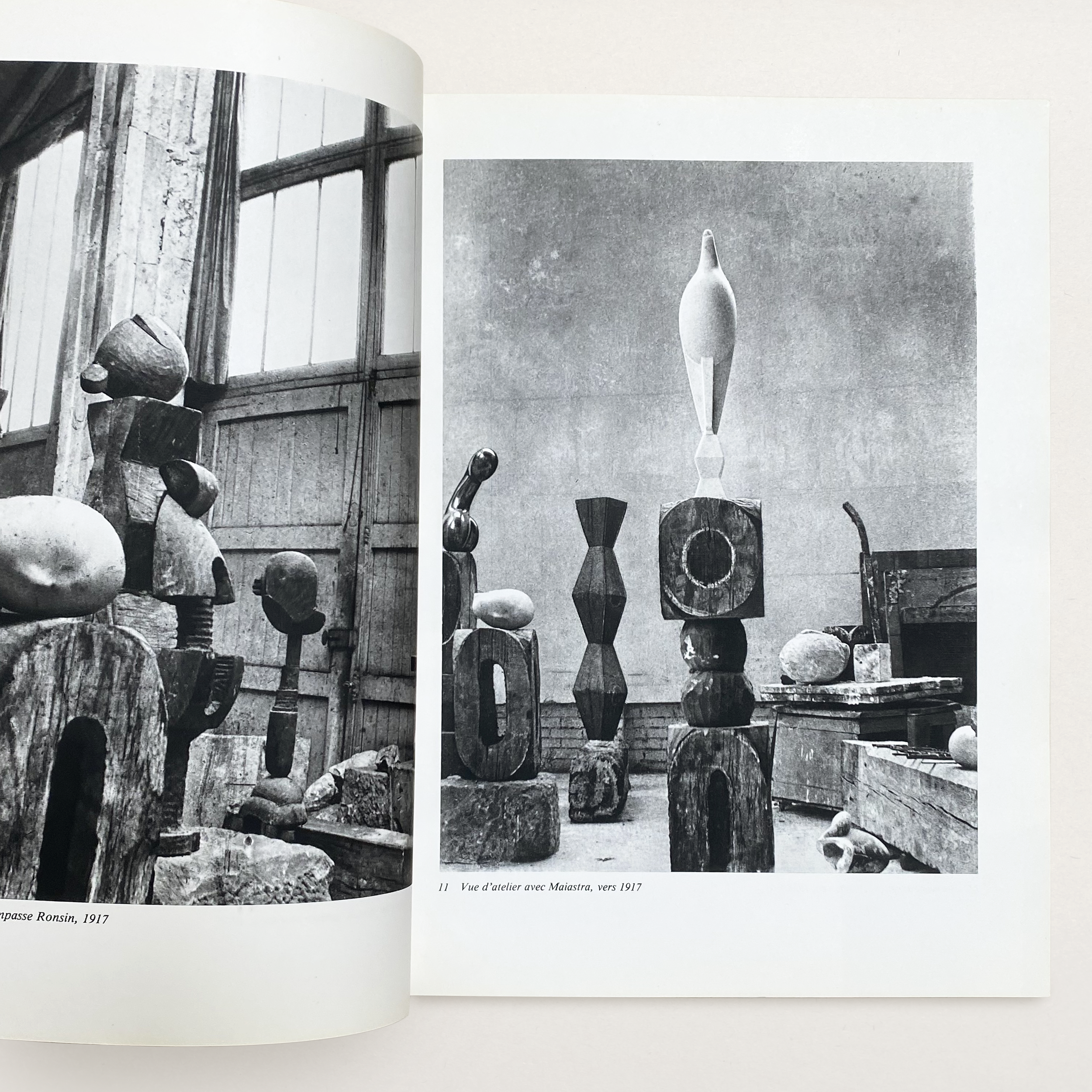VS-AB-20_Brancusi_Photographer_3.png