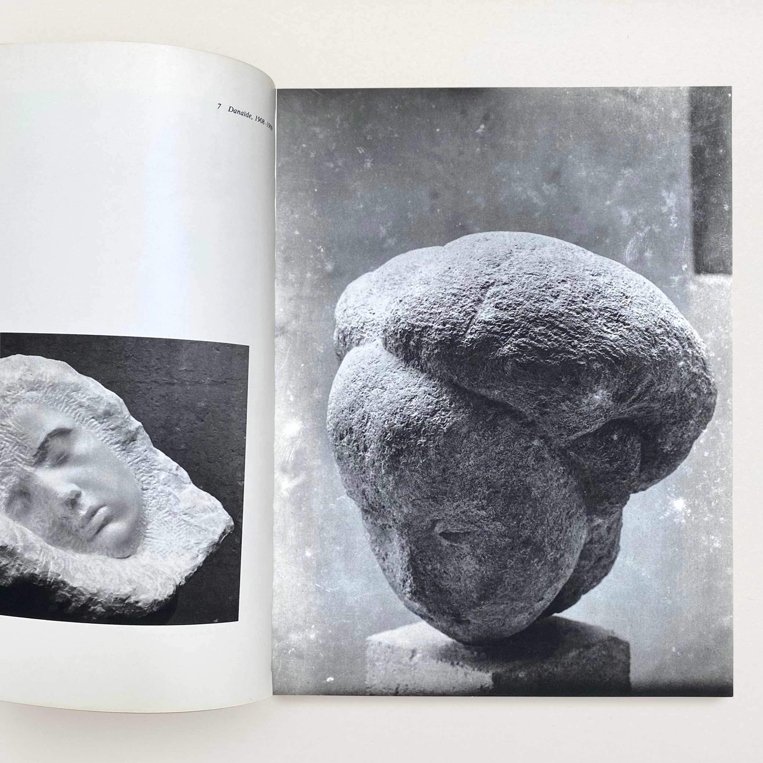 VS-AB-20_Brancusi_Photographer_2.png