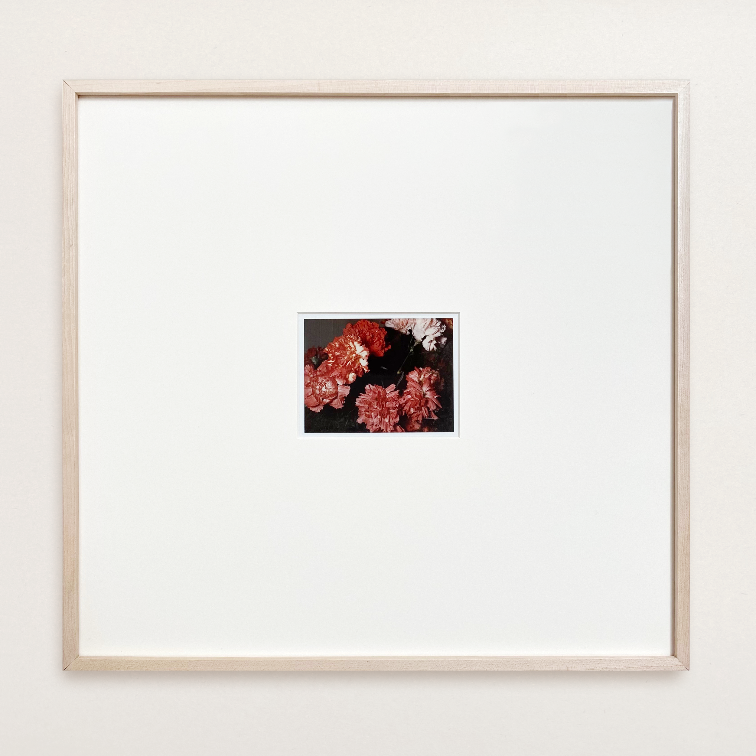 VS-APH-02_Carnations_1.png